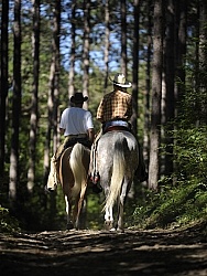 Ganaraska Skills Ride 2011 Trail Riding in Group