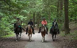 Trail Riding in Group