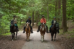 Trail Riding in Group