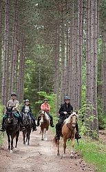 Trail Riding in Group