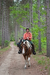 Trail Riding in Group