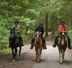 Trail Riding Group