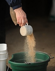 Making Bran Mash