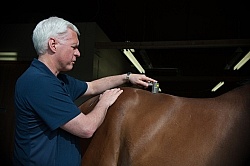 Laser Therapy to Back