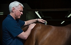 Laser Therapy to Back