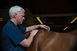 Laser Therapy to Back