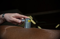 Laser Therapy to Back