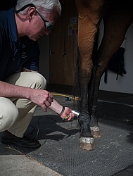 Laser Therapy to Ankle