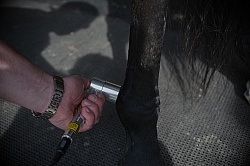 Laser Therapy to Ankle