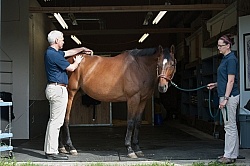 Laser Therapy to Back