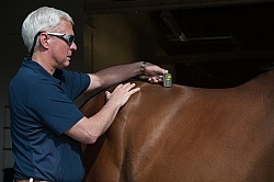 Laser Therapy to Back