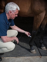 Laser Therapy to Tendon