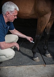 Laser Therapy to Tendon