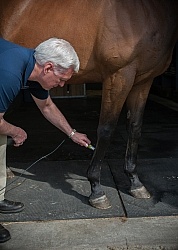 Laser Therapy to Tendon