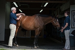 Laser Therapy to Back