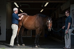 Laser Therapy to Back