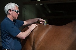 Laser Therapy to Back