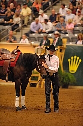 Shawna Sapergia and This Chics on Top WEG 2010 Reining