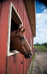 Small Barn Exterior