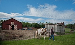 Small Barn Exterior