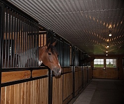 Stall with Horse