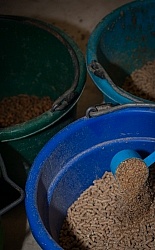 Adding Flax Seed to Grain