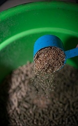 Adding Flax Seed to Grain