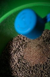 Flax Seed Supplement