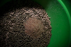 Flax Seed Supplement