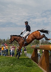 William Fox-Pitt and Neuf De Couers Selle Francais Rolex 2011