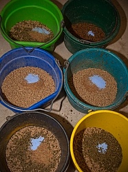 Feed and Supplements