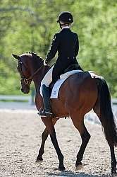 Dressage