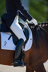 Dressage