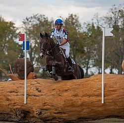 Arnaud Boiteau FRA and Expo du Moulin WEG 2010