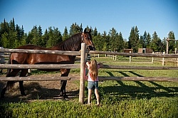 Horse Country Campground Permanent Paddocks