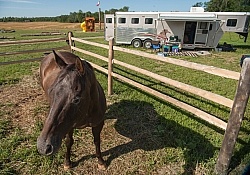Horse Country Campground Permanent Paddocks