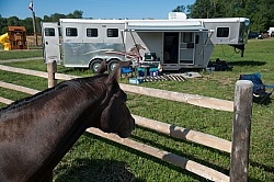 Horse Country Campground Permanent Paddocks