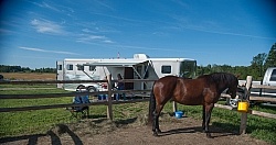 Horse Country Campground Permanent Paddocks