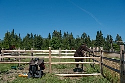 Horse Country Campground Permanent Paddocks