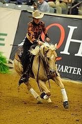 Anky Van Grunsven and Whizashiningwalla BB Weg 2010 Reining
