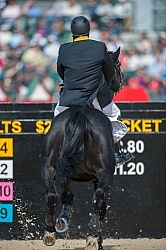 Alltech WEG Show Jumping Hot Horse