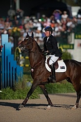 Alltech WEG Show Jumping Hot Horse