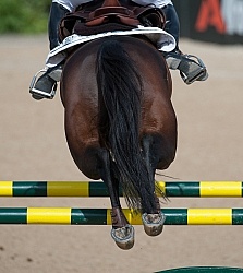Alltech WEG Show Jumping Hocks in Action
