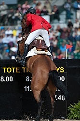 Alltech WEG Show Jumping Hocks in Action