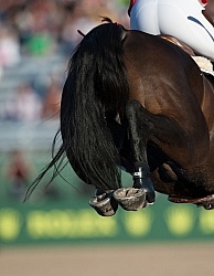 Alltech WEG Show Jumping Hocks in Action