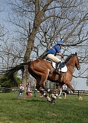 Phillip Dutton and Connaught Rolex 2008