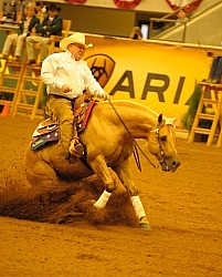 Alltech WEG Reining, Tim Mcquat and HollewoodsTinseltown Tim McQuay and Hollywoodstinseltown WEG 2010