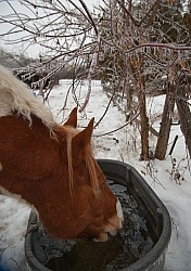 Keeping Water Thawed in Winter