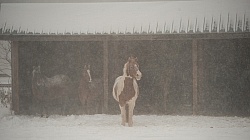 Run In Shelter in Winter