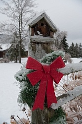 Winter Holiday Theme